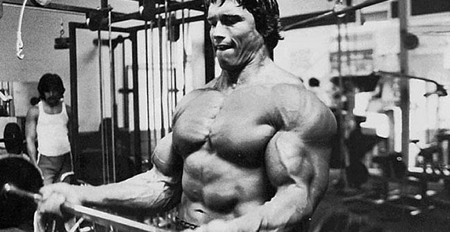 Arnold Schwarzenegger musculation : comment s’inspirer de son parcours pour devenir un bodybuilder pro ?